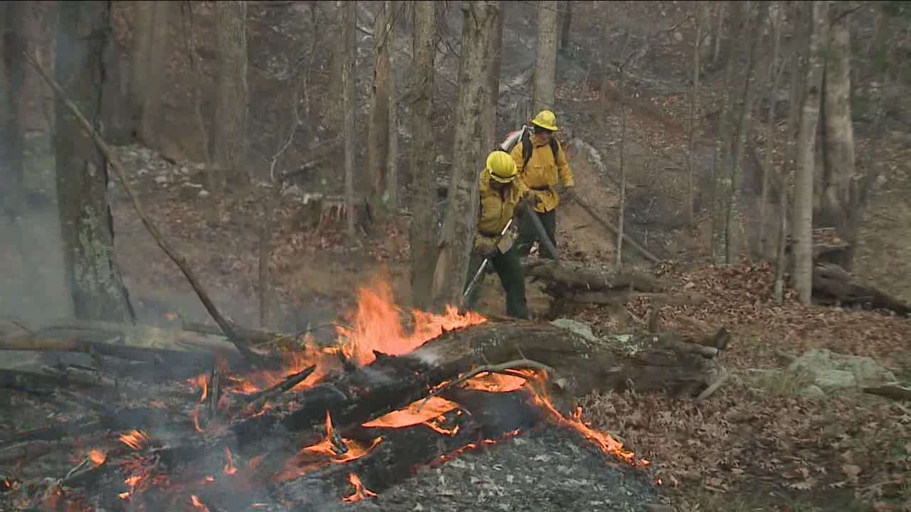 Prescribed Burn at Reddish Knob This Week Shenandoah Valley Bicycle