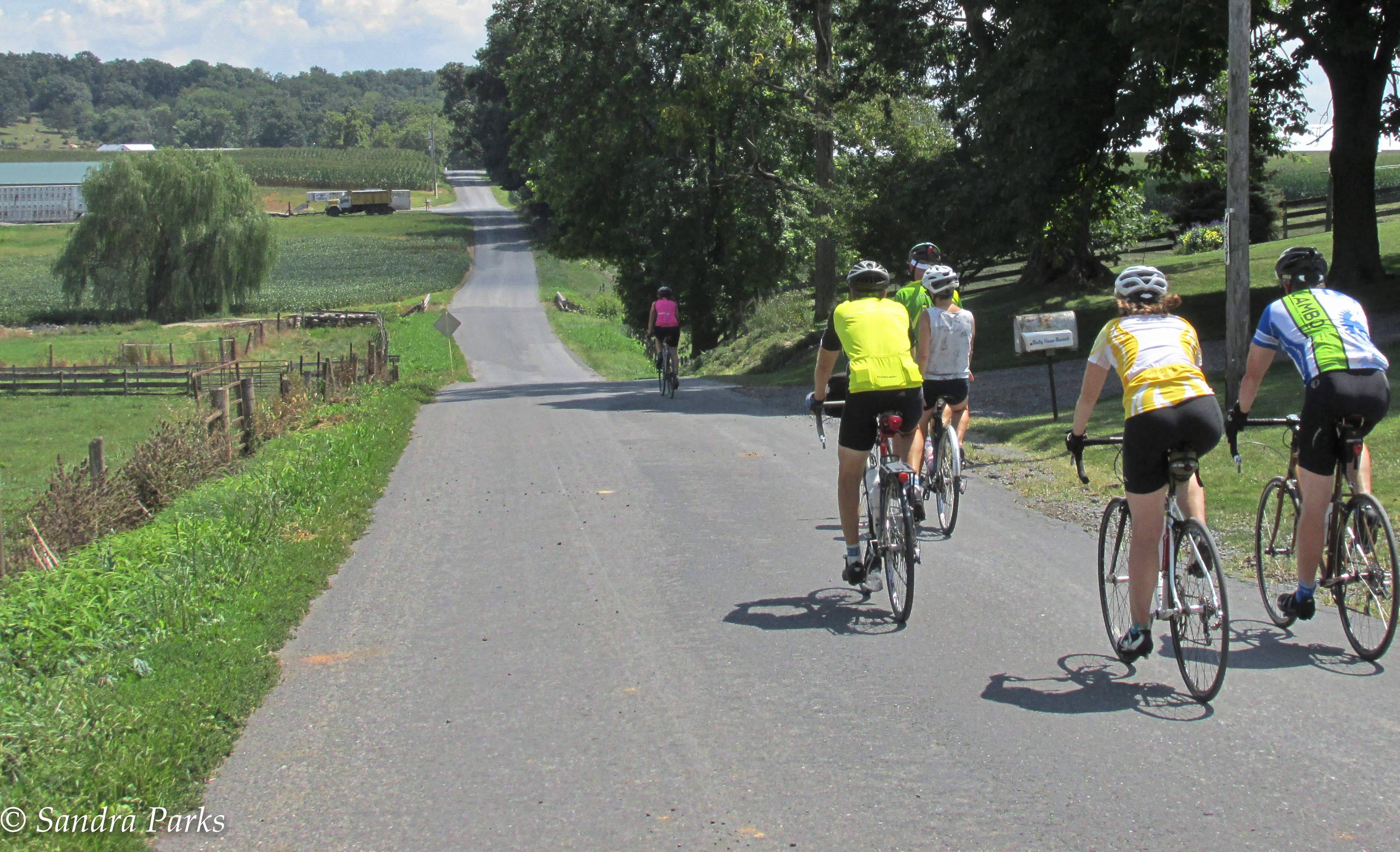 REGISTER for the Shenandoah Valley Century » Shenandoah Valley Bicycle