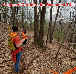 Building a Network of Trails