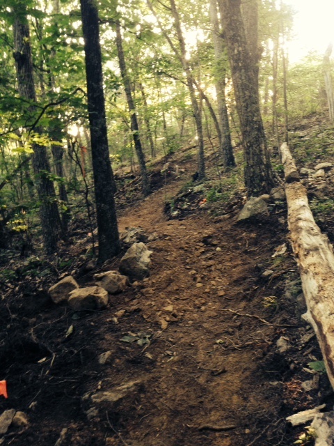 A section recently built on the newest trail at Massanutten!
