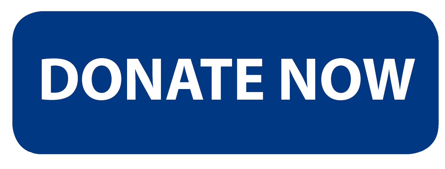 donate-now-button