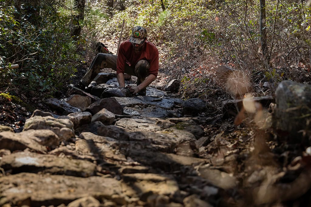 National Forest Trail Building