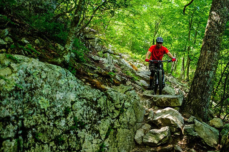 Western Slope Rider