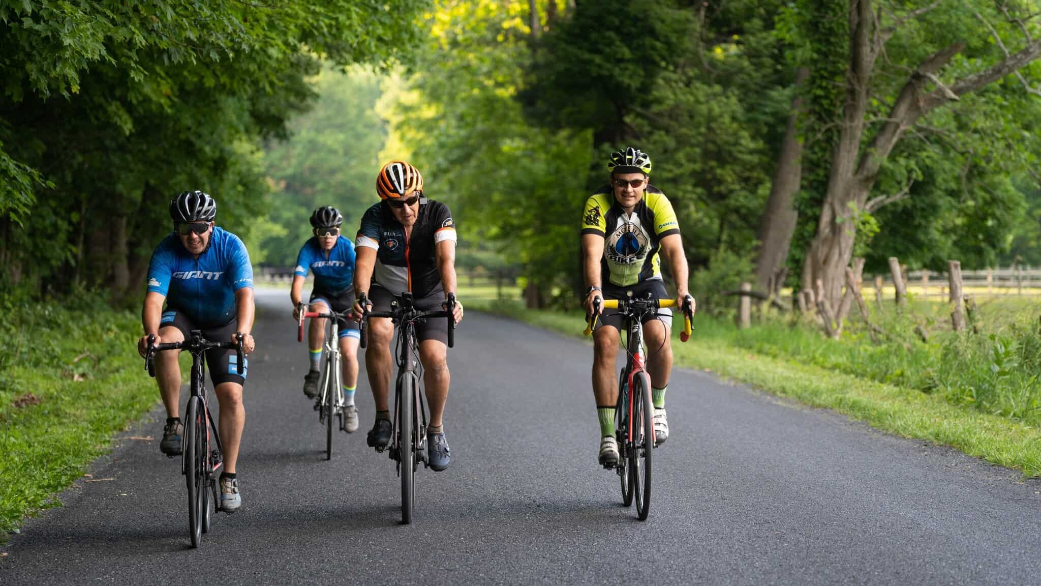 Mole Hill Riders