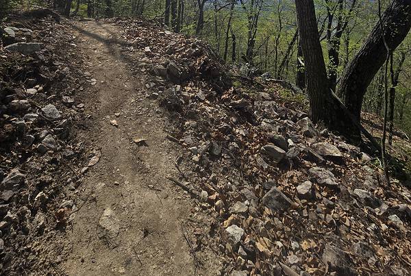 Rocky singletrack trail through spring forest on the ridge at Seven Bends State Park, with views of the Shenandoah Valley.